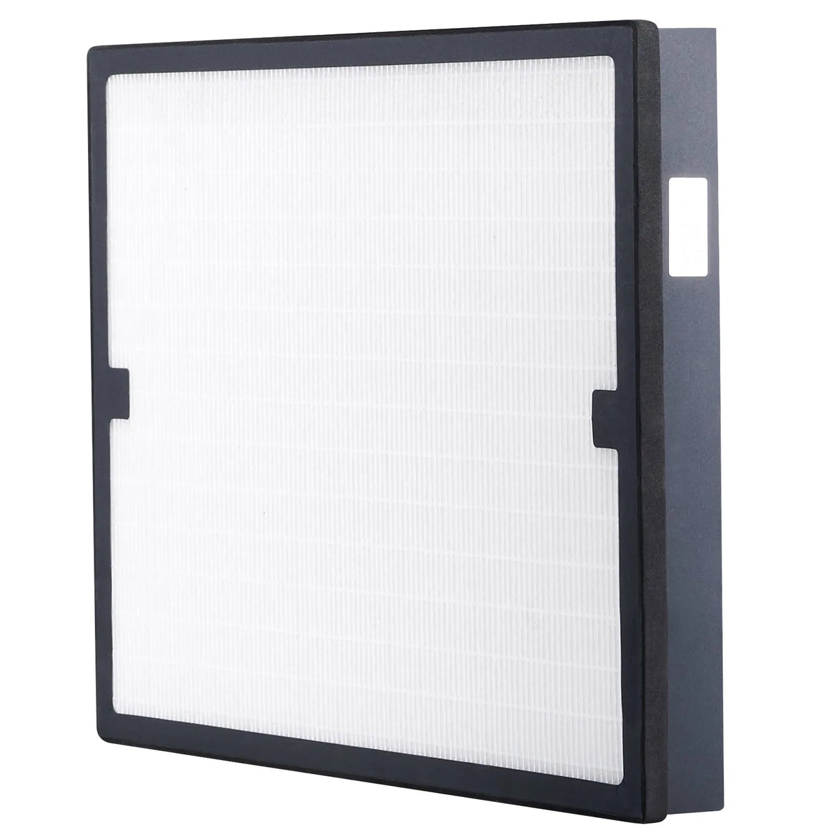 Closet Smoker H13 HEPA Filter
